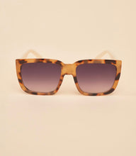 Load image into Gallery viewer, Powder Design Luxe Ellery Sunglasses Tortoiseshell/ Coconut