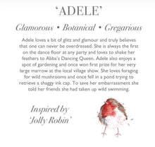 Load image into Gallery viewer, Wrendale Adele Junior Robin Plush Character