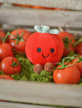 Load image into Gallery viewer, Gisela Graham Cute Fabric Tomato Shelf Sitter