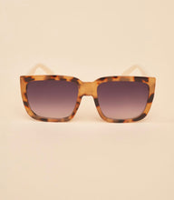 Load image into Gallery viewer, Powder Design Luxe Ellery Sunglasses Tortoiseshell/ Coconut
