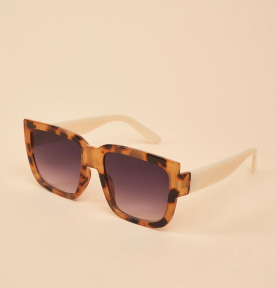 Powder Design Luxe Ellery Sunglasses Tortoiseshell/ Coconut