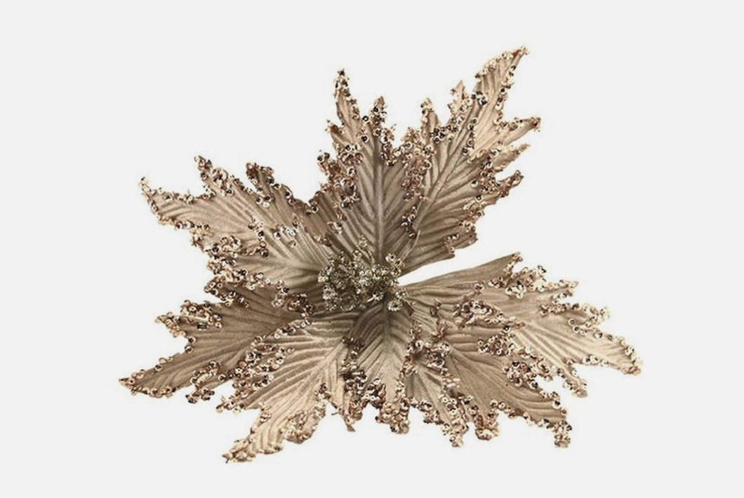 Gisela Graham Pale Gold Christmas Pointsettia on Stem with Clip