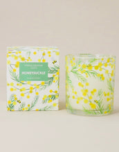 Load image into Gallery viewer, Gisela Graham Gift Boxed Mimosa Candle in Glass Container - Honeysuckle Fragrance
