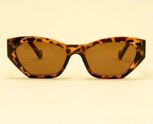 Load image into Gallery viewer, Powder Design Sunglasses Harley- Tortoiseshell Sunglasses
