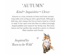 Load image into Gallery viewer, Wrendale Autumn Junior Plush Fox Character
