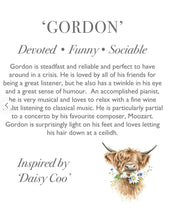 Load image into Gallery viewer, Wrendale Designs Gordon Highland Cow - Large
