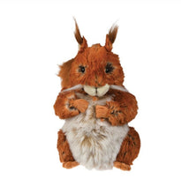 Load image into Gallery viewer, Wrendale Fern Large Squirrel Plush Character
