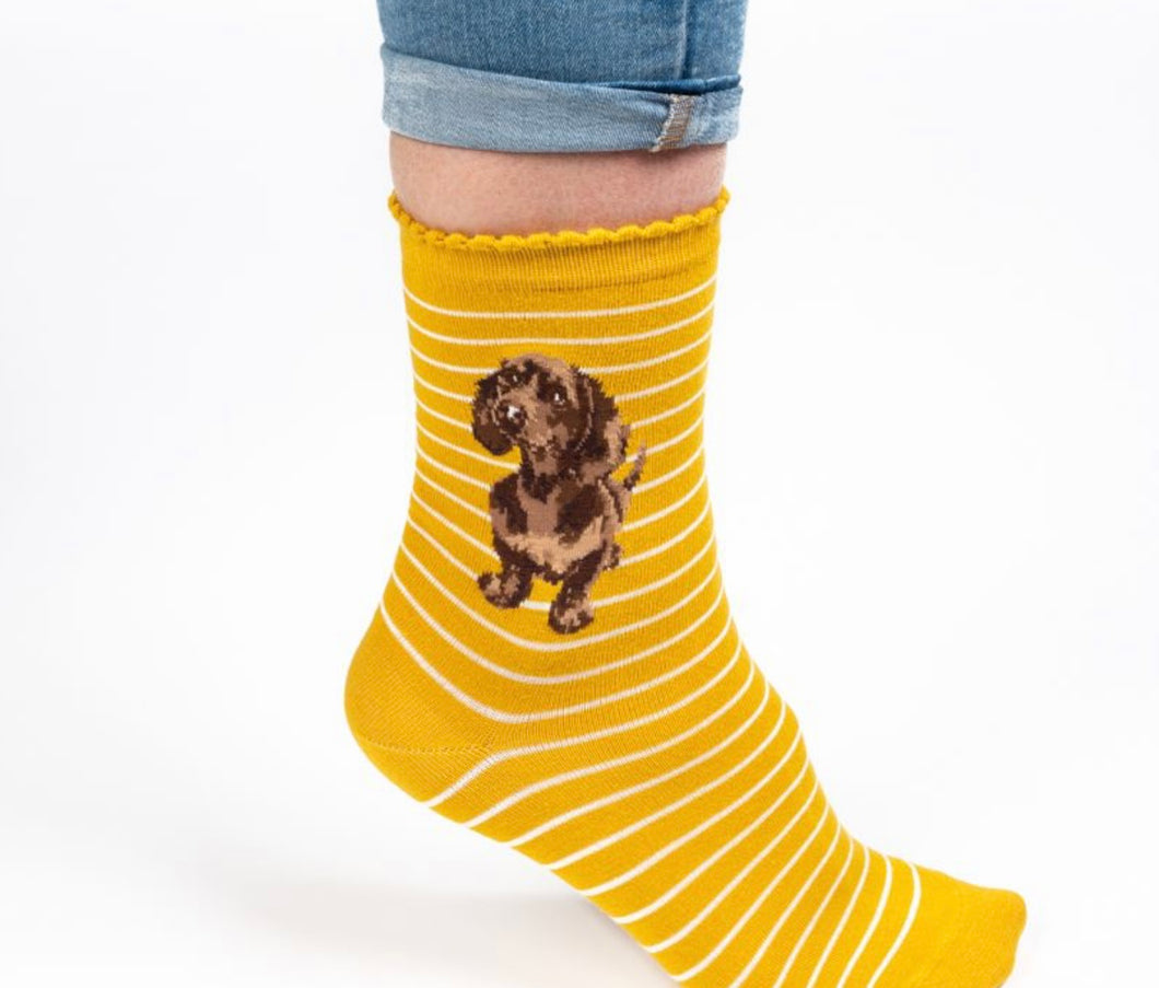 Wrendale Dachshund Socks