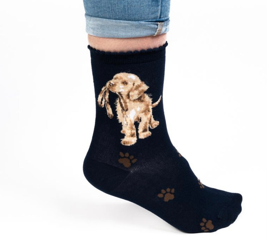 Wrendale Labrador Socks