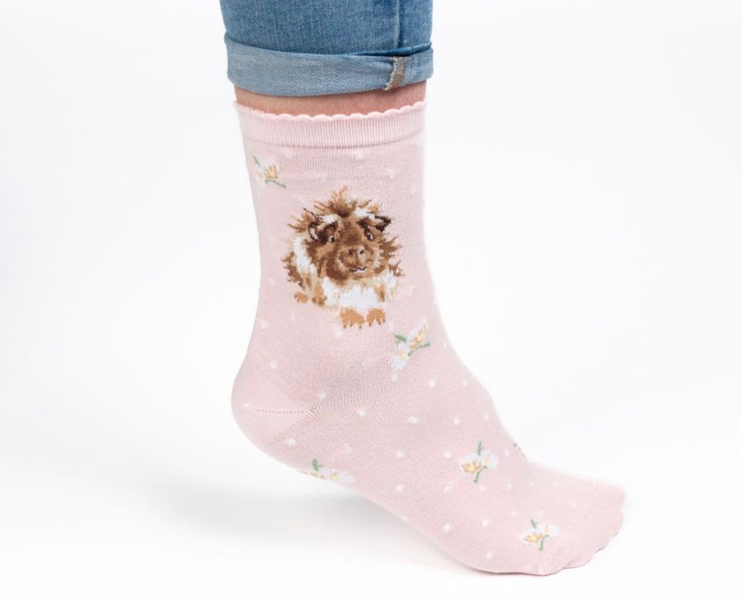 Wrendale Guinea Pig Socks